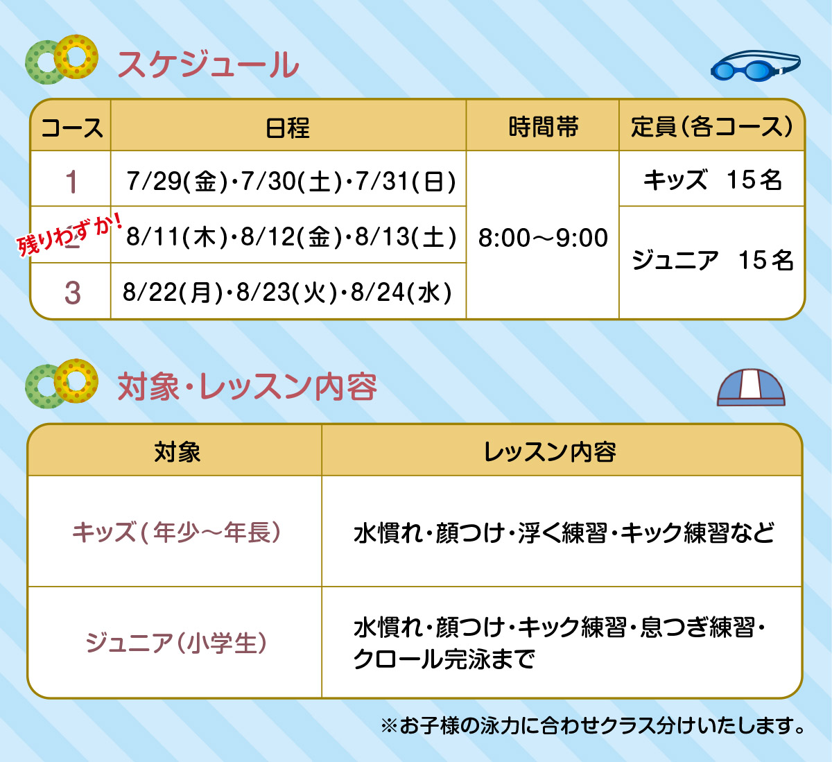 スケジュール